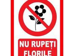 Placuta nu rupeti florile